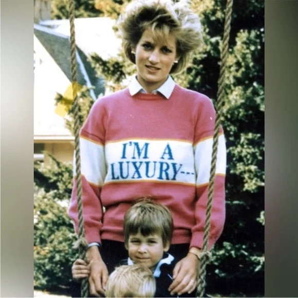 I’m a Luxury Few Can Afford Rowing Blazers Sweater S NWT - Picture 4 of 7